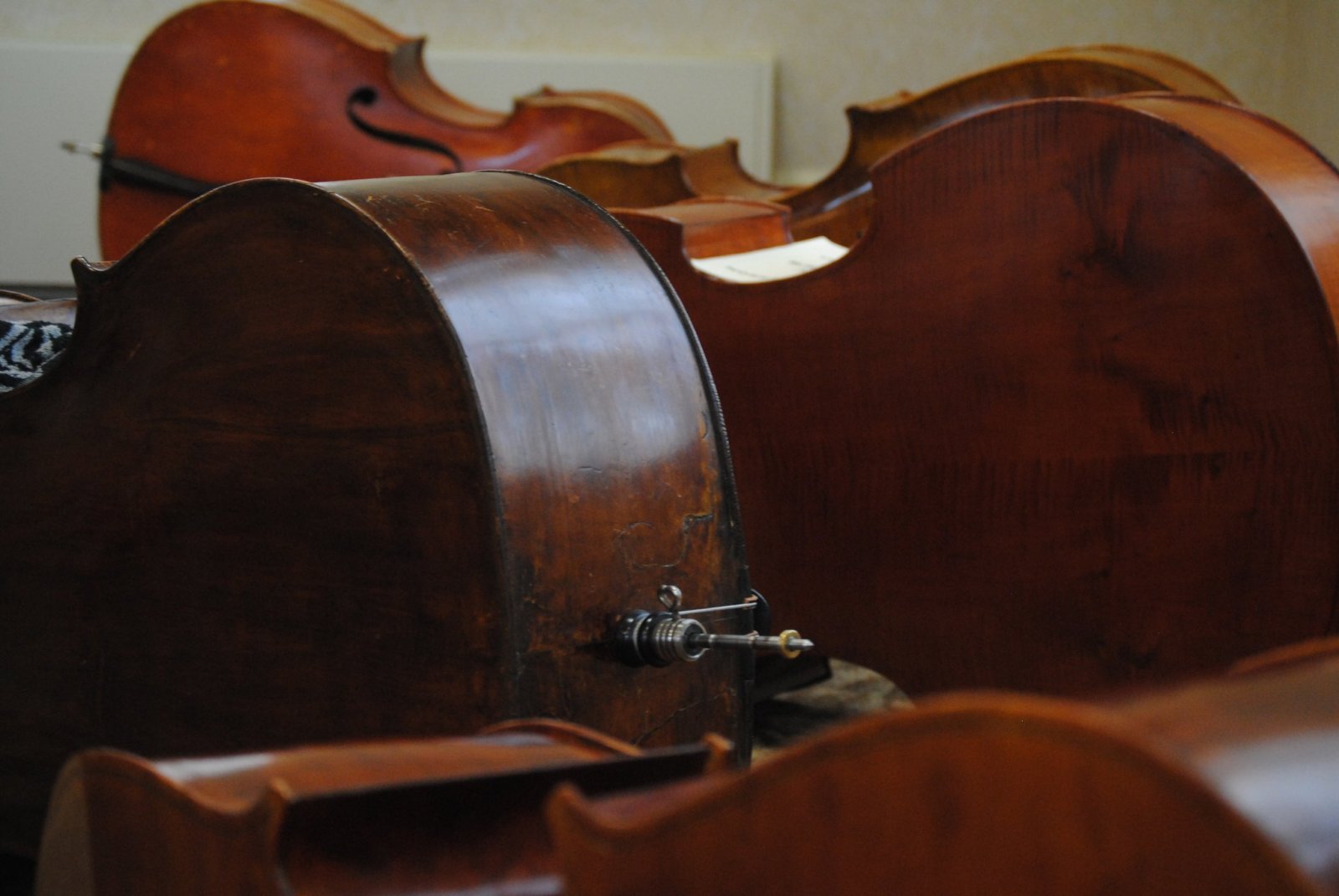 double bass closeup light background